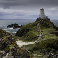 Buy canvas prints of Tyr lighthouse on Ynys Llanddwyn Anglesey oil paint effect  681 by PHILIP CHALK