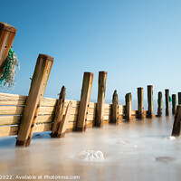 Buy canvas prints of Spurn point groynes 684 by PHILIP CHALK