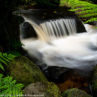 Buy canvas prints of Babbling brook in the peak district 695 by PHILIP CHALK