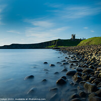 Buy canvas prints of Dunstanburgh castle on the Northumberland coast 724  by PHILIP CHALK