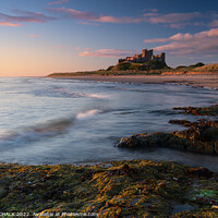 Buy canvas prints of Sunrise glow over Bamburgh castle on the Northumbe by PHILIP CHALK
