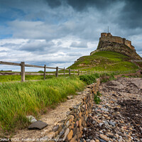 Buy canvas prints of Holy island Northumberland  731 by PHILIP CHALK