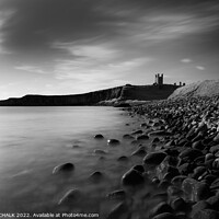 Buy canvas prints of Dunstanburgh castle on the Northumberland coast black and white 734 by PHILIP CHALK