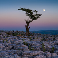 Buy canvas prints of Moon over Twisleton scar 751  by PHILIP CHALK