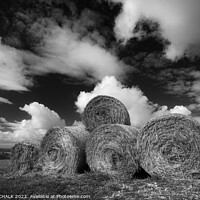 Buy canvas prints of Hay bales landscape in black and white. 798 by PHILIP CHALK