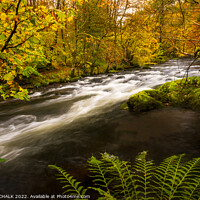 Buy canvas prints of The river Rothay in the lake district on an Autumn day.  by PHILIP CHALK