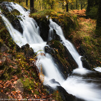 Buy canvas prints of Tarn Howes waterfall 842  by PHILIP CHALK
