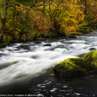 Buy canvas prints of River Rothay between Grasmere and Rydal water 843 by PHILIP CHALK