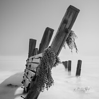 Buy canvas prints of Fine art groynes at Spurn point 860 by PHILIP CHALK
