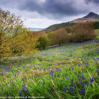 Buy canvas prints of Roseberry topping 892 by PHILIP CHALK