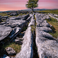 Buy canvas prints of Yorkshire dales sunset 905  by PHILIP CHALK