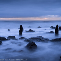 Buy canvas prints of Ghostly groynes at dawn  on chemical beach Seaham 915  by PHILIP CHALK