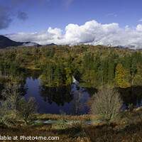 Buy canvas prints of Tarn Howes pano 974 by PHILIP CHALK