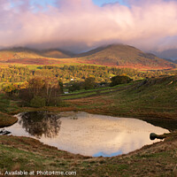 Buy canvas prints of Kelly hall tarn and the 0ld man of Coniston 1019 by PHILIP CHALK