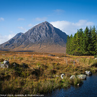 Buy canvas prints of Buachaille Etive mor 1029 by PHILIP CHALK
