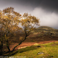 Buy canvas prints of Autumn in the lake district 1033 by PHILIP CHALK