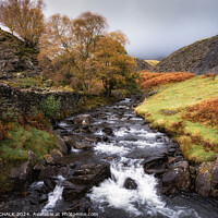Buy canvas prints of Torver beck in the Autumn 1046 by PHILIP CHALK