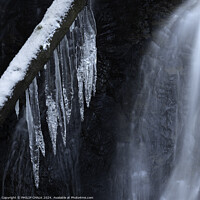 Buy canvas prints of Icicles 1050 by PHILIP CHALK