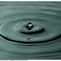 Buy canvas prints of One moment in time of a water droplet 45 by PHILIP CHALK