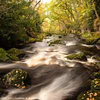 Buy canvas prints of Nelly ayre beck woodland scene near Goathland 64 by PHILIP CHALK