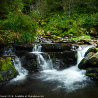 Buy canvas prints of Magical woodland with a waterfall in Cumbria near Cockermouth 69 by PHILIP CHALK