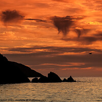Buy canvas prints of Sunset on the Pembrokeshire coastline near Trefin  by PHILIP CHALK