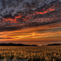 Buy canvas prints of Fire in the sky on the south wales coast near Trefin 73 Haverfordwest area. by PHILIP CHALK