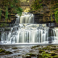 Buy canvas prints of Cotter force near Hawes village in the Yorkshire dales 75  by PHILIP CHALK