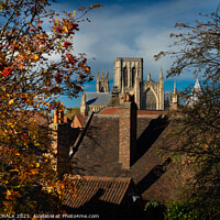 Buy canvas prints of York Minster in Autumn from the bar walls 102  by PHILIP CHALK