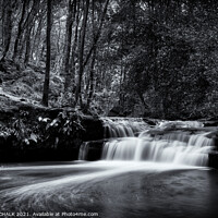 Buy canvas prints of Goit Stock waterfall in a forest  by PHILIP CHALK