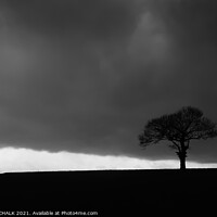 Buy canvas prints of Lone tree in a storm 149 by PHILIP CHALK