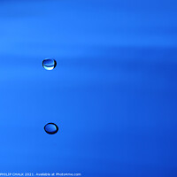 Buy canvas prints of Single drop of blue water droplet  by PHILIP CHALK
