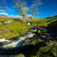 Buy canvas prints of Cray beck in the Yorkshire dales 167 by PHILIP CHALK