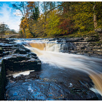 Buy canvas prints of Stainforth foss  198 by PHILIP CHALK