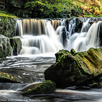 Buy canvas prints of Nelly Ayre foss near Goathland in the yorkshire moors 199 by PHILIP CHALK