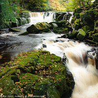 Buy canvas prints of Nelly Ayre foss waterfalls  near Goathland in the yorkshire moors 200 by PHILIP CHALK