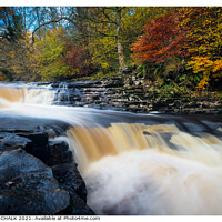 Buy canvas prints of Stainforth foss  waterfall near Settle in the Yorkshire dales 284  by PHILIP CHALK