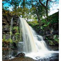 Buy canvas prints of East gill force waterfall  near Keld 286 by PHILIP CHALK