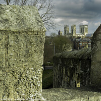 Buy canvas prints of York minster from the bar walls 339  by PHILIP CHALK