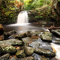 Buy canvas prints of Thomasson foss in the yorkshire moors 347 by PHILIP CHALK