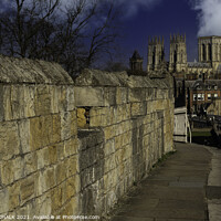 Buy canvas prints of York minster from the bar walls 348  by PHILIP CHALK
