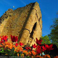 Buy canvas prints of Knaresborough castle in the sunshine 349  by PHILIP CHALK