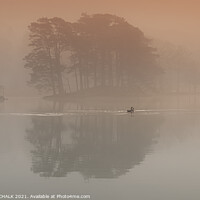 Buy canvas prints of Geese on Coniston water in the mist 373  by PHILIP CHALK