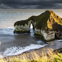 Buy canvas prints of The drinking Dinosaur at Flamborough head 403  by PHILIP CHALK