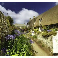 Buy canvas prints of Thatched cottages in Cadgwith cove Cornwall lizard peninsula 436  by PHILIP CHALK