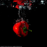 Buy canvas prints of red pepper splash with black background still life 441 by PHILIP CHALK