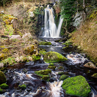 Buy canvas prints of Posforth gyll falls in the Bolton abbey estate in the Yorkshire dales 446  by PHILIP CHALK