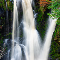 Buy canvas prints of Posforth waterfall in the magical  Yorkshire dales 451  by PHILIP CHALK
