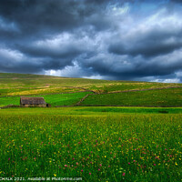 Buy canvas prints of Yorkshire dales shepherds hut 454 by PHILIP CHALK