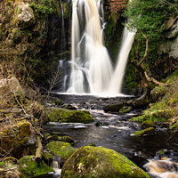 Buy canvas prints of Waterfalls in Yorkshire, Posforth falls 468 by PHILIP CHALK